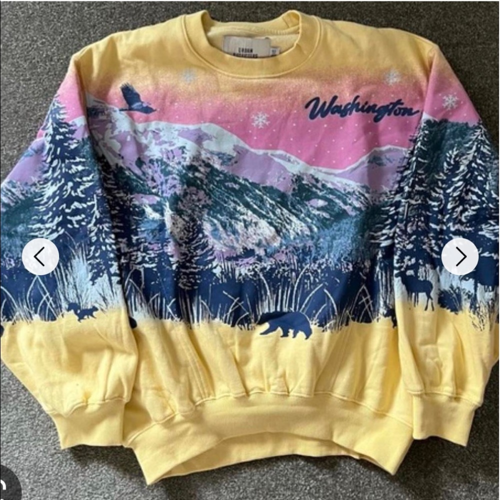 ISO Wilder Washington Urban Outfitters Sweatshirt